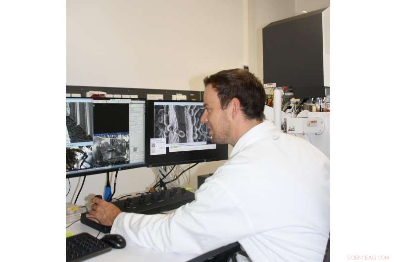 Spider Silk Biomaterials: Reducing Infection Risk and Enhancing Healing