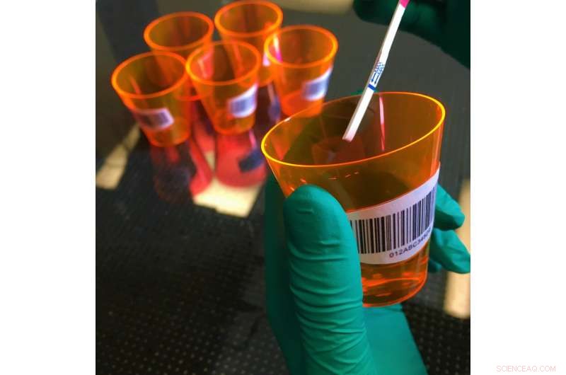 Early Virus Detection: Accurate Detection of Low Viral Loads in Initial Infections