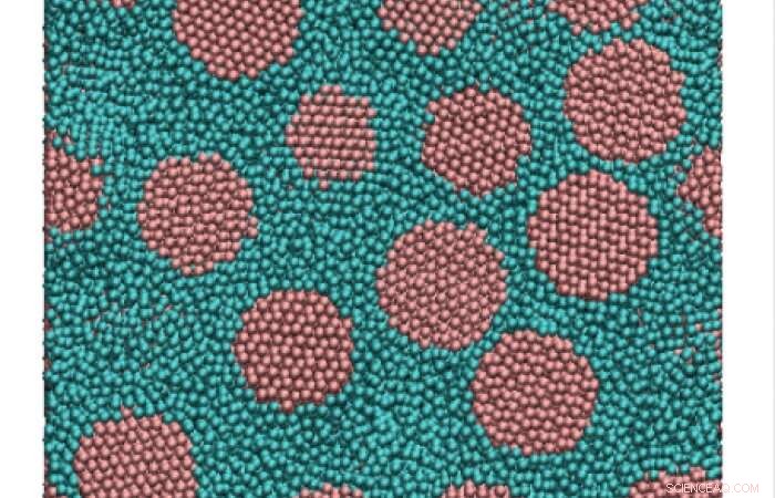 Nanomaterials: How Short Polymers Drive Significant Performance Gains