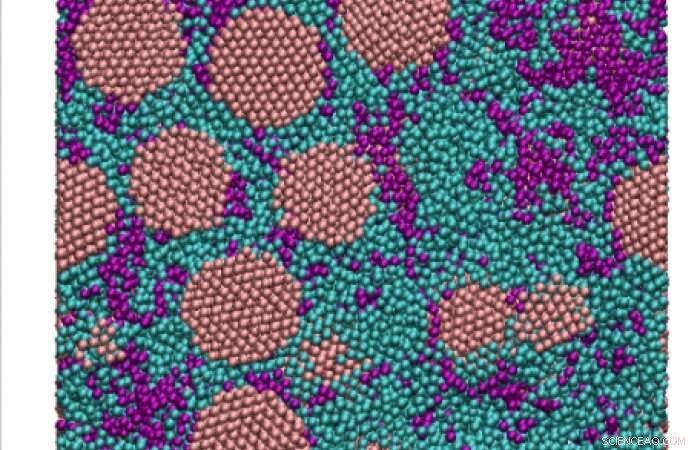 Nanomaterials: How Short Polymers Drive Significant Performance Gains