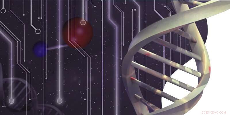 Rapid Diagnostic Tool Detects COVID‑19, Cystic Fibrosis and Other Illnesses