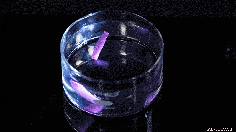 Keratin-Based Fabric Mimics Wool: Memory Shape-Shifting Properties