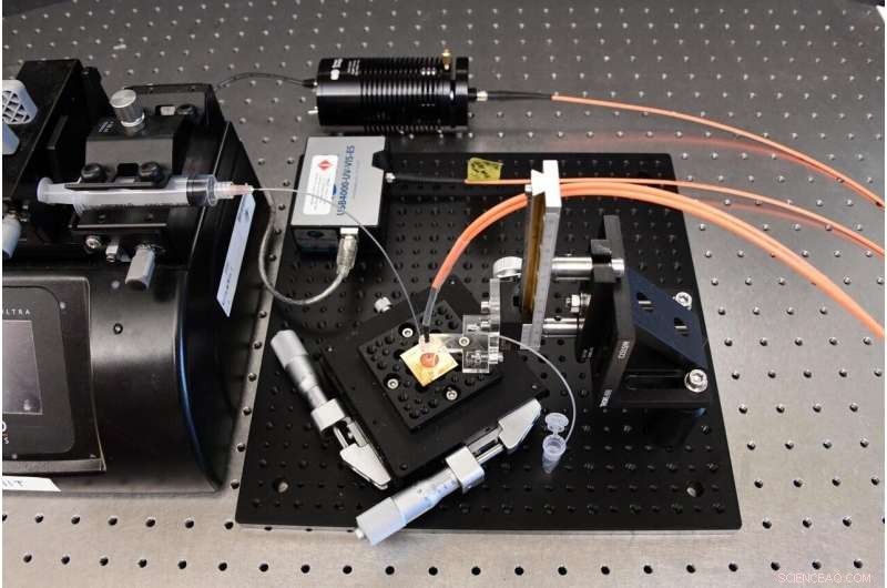 Innovative Low-Cost Chip Enables Rapid Quantification of COVID-19 Antibodies