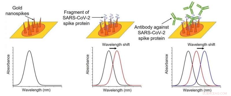 Innovative Low-Cost Chip Enables Rapid Quantification of COVID-19 Antibodies