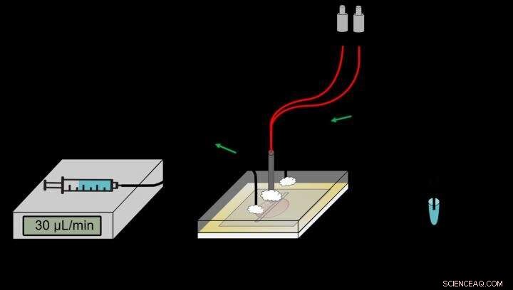 Innovative Low-Cost Chip Enables Rapid Quantification of COVID-19 Antibodies