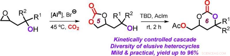 Harnessing CO₂: Sustainable Cascades for Valuable Raw Materials