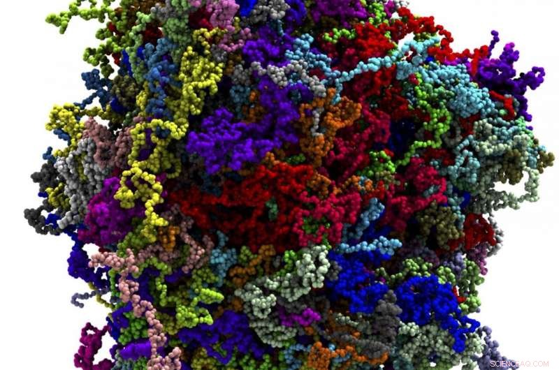 Decoding Cellular Condensates: The Emerging Role of Intracellular Droplets