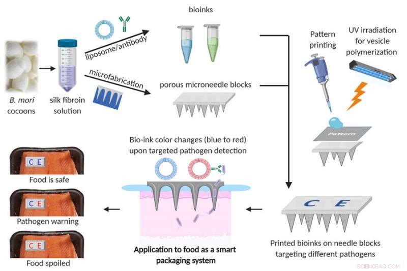 Velcro-Style Food Sensor Detects Spoilage and Contamination Early