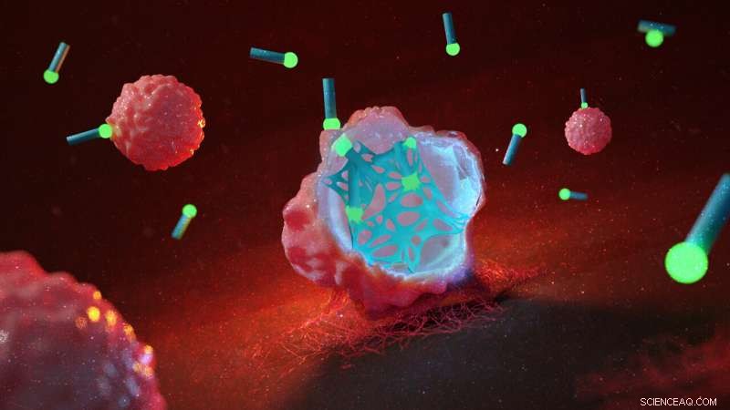 Revolutionary Molecular Fiber Therapy Shows Promise in Targeting Cancer Cells