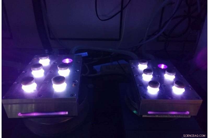 New Insights: Migrating Light Energy Triggers DNA Damage