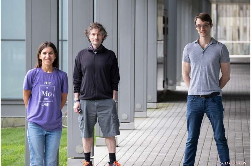 Lab Uncovers Novel Small Molecule that Hunts and Kills Rival Bacteria