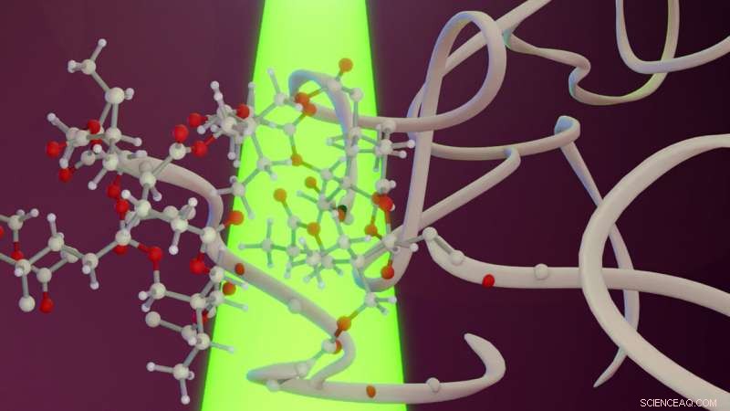 Visible-Light Photoactivation Enables Eco-Friendly Polymer Gel Production