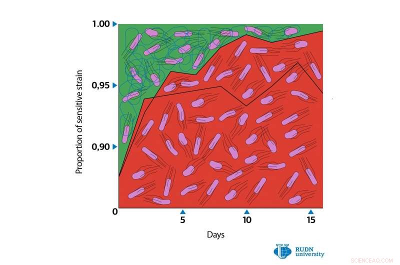Innovative Approach to Overcome Antibiotic Resistance in Microbial Biofilms