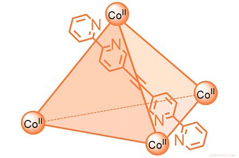In-Depth Analysis of Molecular Structures for Precise Drug Delivery