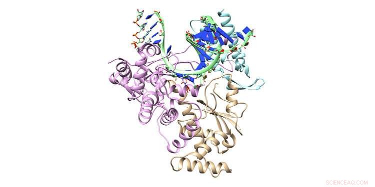 Harnessing Supercomputing to Optimize Remdesivir s Fight Against COVID-19