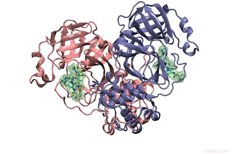 Harnessing Supercomputing to Optimize Remdesivir s Fight Against COVID-19