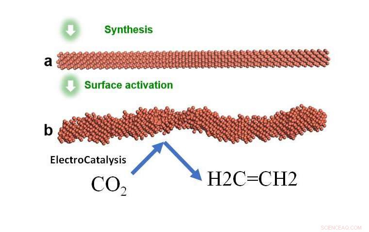 New Breakthrough: Scientists Unveil Efficient CO₂-to-Ethylene Conversion Pathway