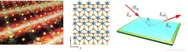 Exploring Anisotropic Plasmons in Quasi-Metallic Two-Dimensional Materials
