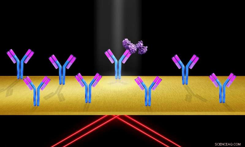 Innovative Technique Enables Precise Optical Imaging of Single Proteins