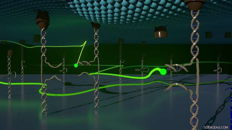 Chemists Visualize Cellular Forces at Nanometer Scale