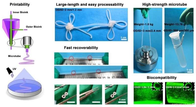 Scientists Build Ultra-Strong Microtubes Using Coaxial Printing and Custom Biohybrid Hydrogel Inks