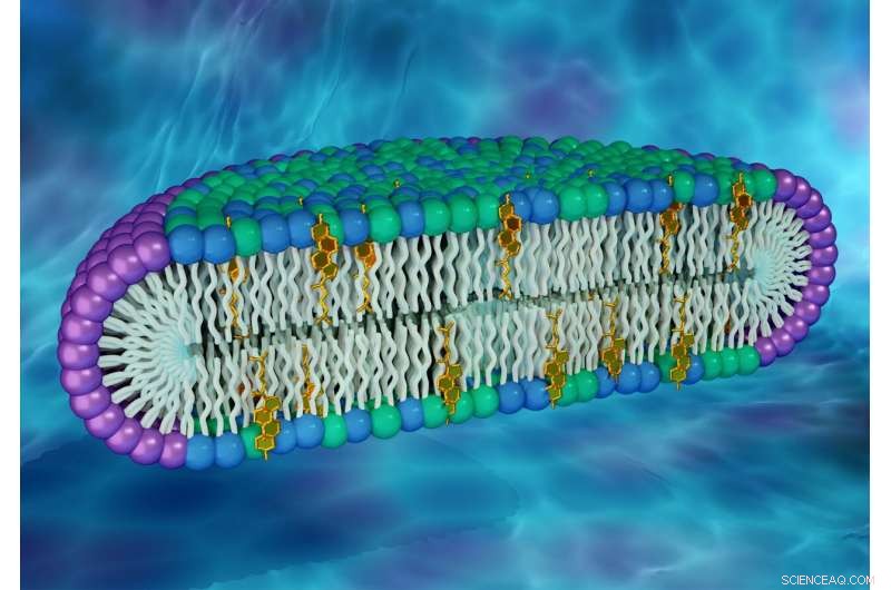 New Bicelle Model Uncovers Hidden Protein Behaviors