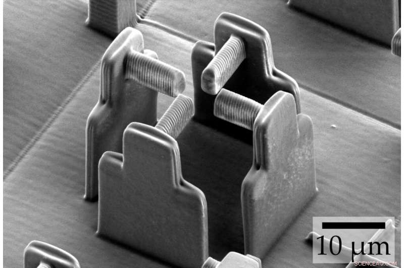 Scientists Introduce Innovative Cell Stretching Rack to Study Mechanical Response