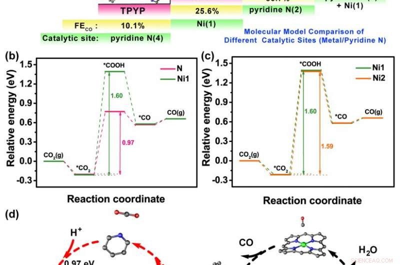 Robust Supramolecular Catalyst Reveals the Origin of CO₂ Electroreduction Activity
