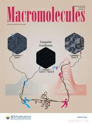 Innovative Research Advances Sustainable Polymer Development