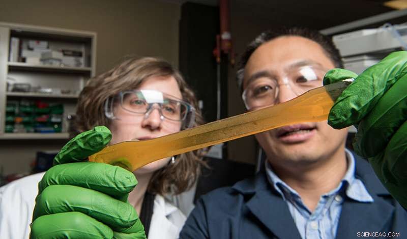 Scientists Reveal Breakthrough Bio‑Based Polyurethane Chemistry for Greener Production