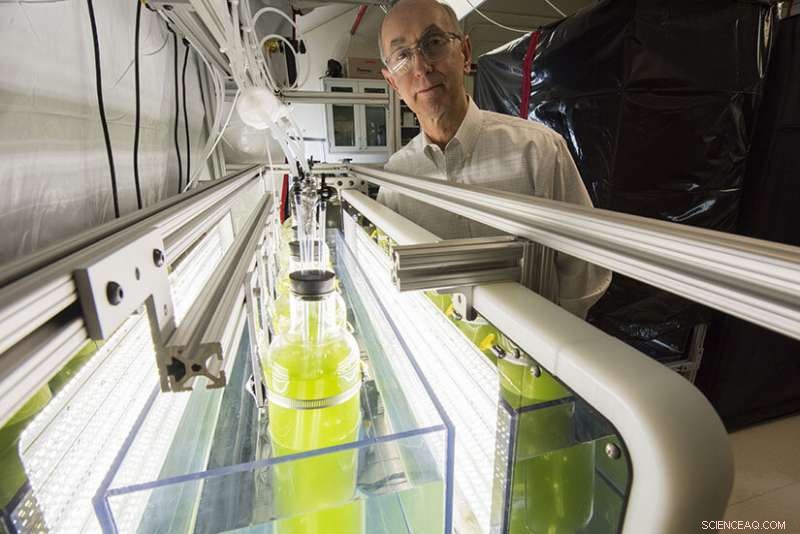 Scientists Reveal Breakthrough Bio‑Based Polyurethane Chemistry for Greener Production