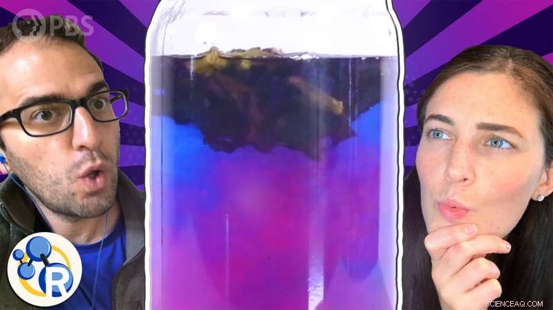 Why Butterfly Pea Flower Tea Turns Color: The Science Behind the Blue Transformation
