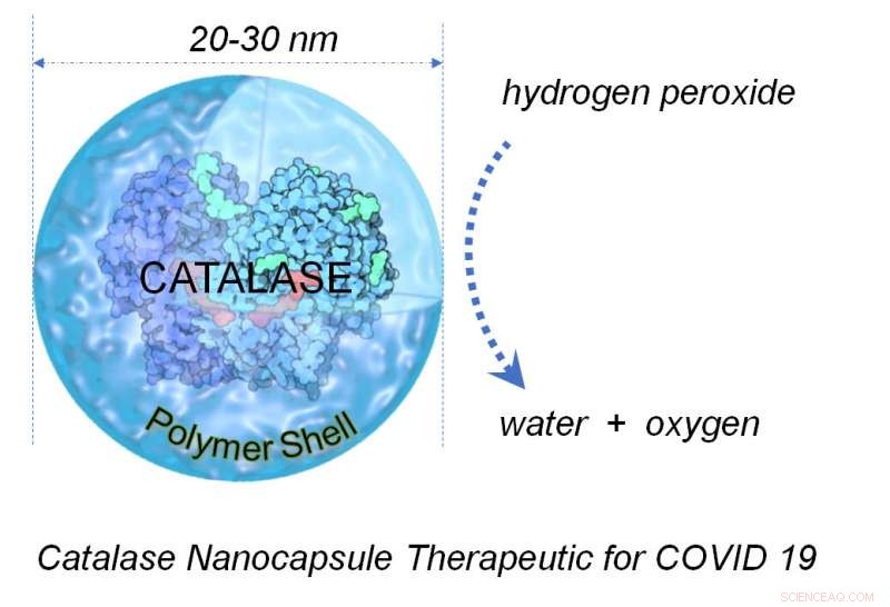 Catalase Enzyme Shows Promise as a Novel COVID-19 Treatment