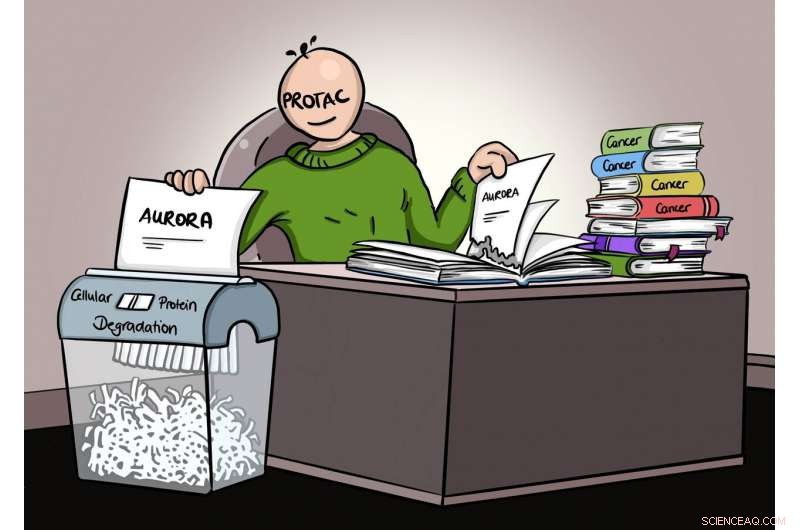 New Cancer-Targeting Compound Reveals Innovative Mechanism to Destroy Tumor Proteins