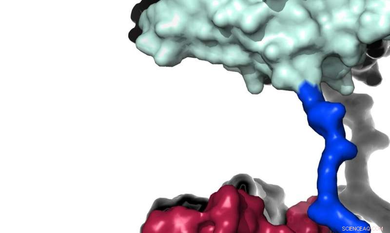 New Enzyme Cocktail Promises Sixfold Faster Plastic Degradation