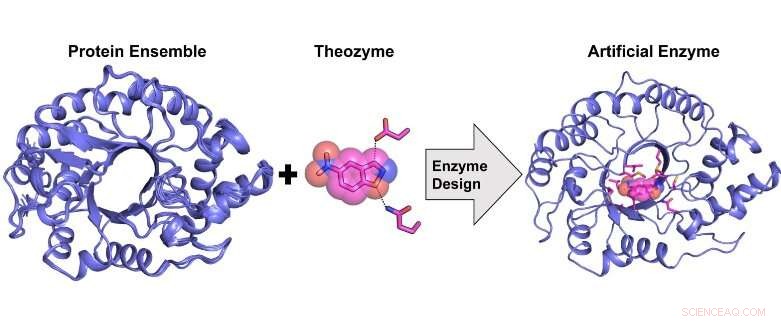 Enhancing Enzyme Design: New Methods from University of Ottawa Researchers