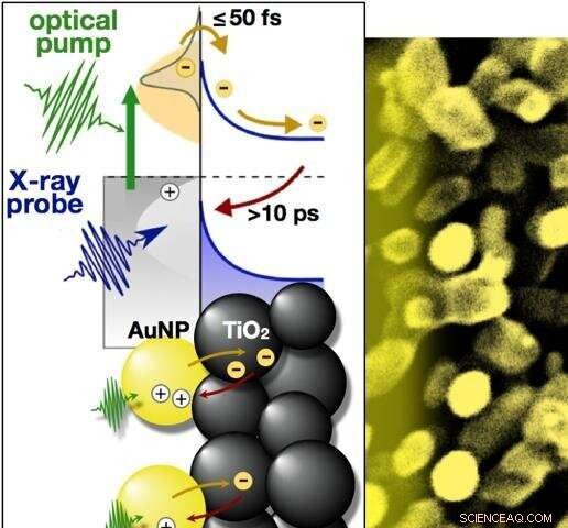 Scientists Capture Real-Time Images of Electrons Harvesting Light at the Atomic Scale