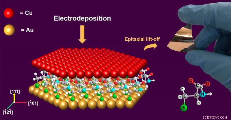 Missouri S&T Researchers Pioneer Amino‑Acid‑Driven Growth of High‑Performance Copper Thin Films