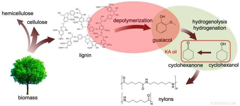 From Waste to Wealth: Turning Paper Mill Byproducts into Nylon Precursors