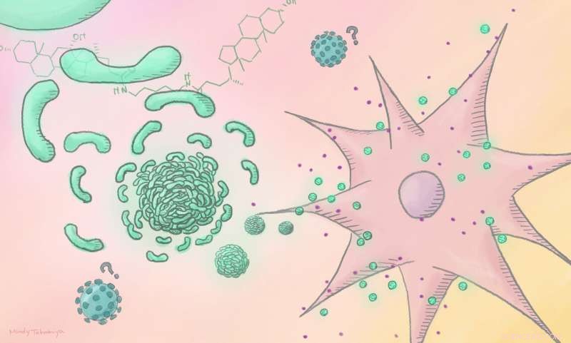 Uncovering Vaccine Adjuvants Hidden in Small Molecule Libraries