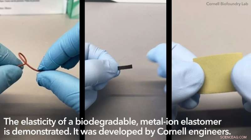 Revolutionary Metal‑Ion Integration Enhances Next‑Generation Biomaterials