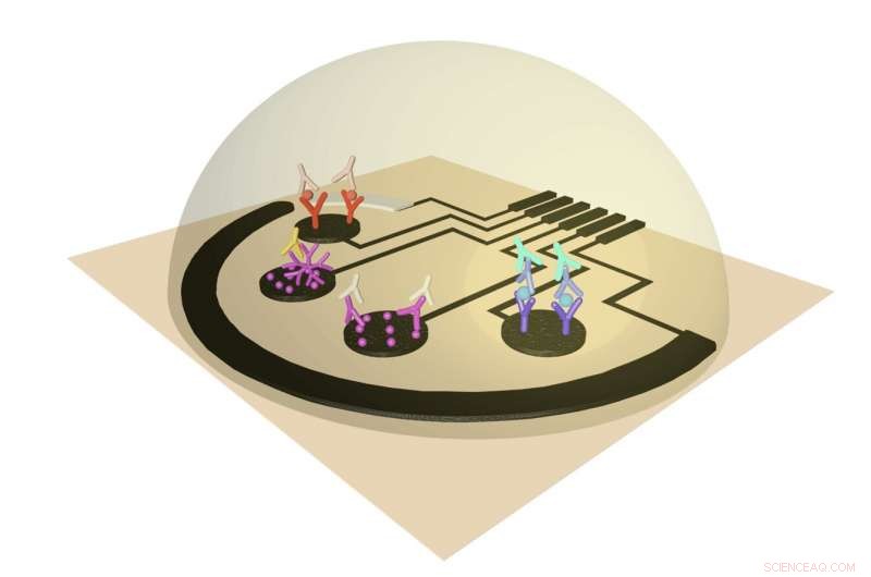 Researchers Reveal Rapid, Reliable COVID-19 Detection Sensor