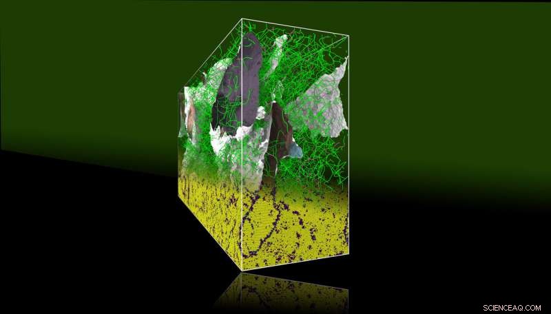 Researchers Crack 100‑Year‑Old Metallurgy Puzzle Using Advanced Simulations