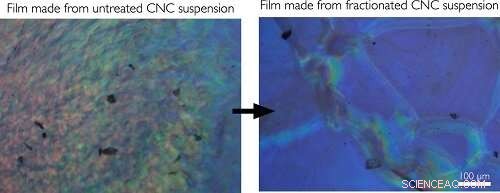 Cellulose: The Ubiquitous Material with Exceptional Properties