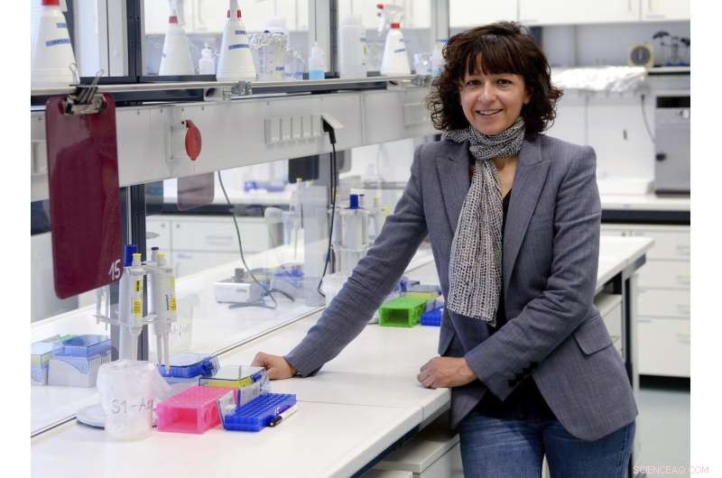 Pioneering Gene‑Editing Scientists Awarded Nobel Prize in Chemistry