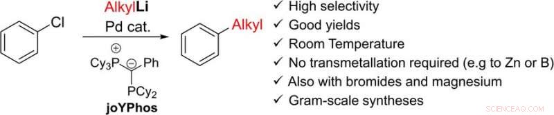 Palladium-Catalyzed Coupling of Aryl Halides with Alkyllithium: A Breakthrough Synthesis Method