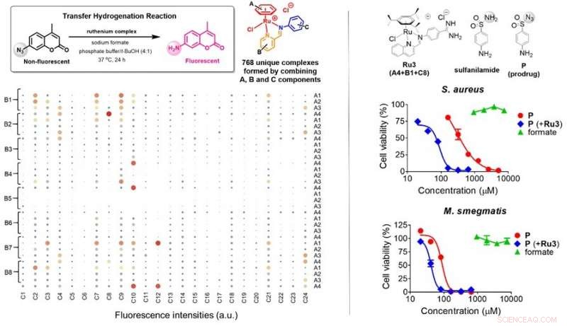 New Antibacterial Prodrug Targets Intracellular Metabolites for Enhanced Efficacy