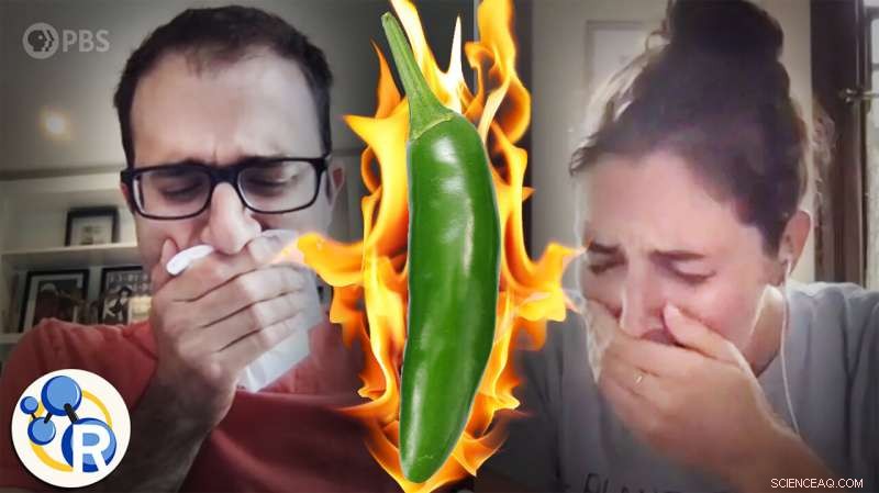 Video: Beat Spicy Pepper Heat – Why Milk Isn’t the Best Remedy