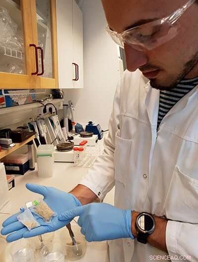 Wheat Gluten: A Sustainable, Bio‑Based Material for Next‑Gen Diapers