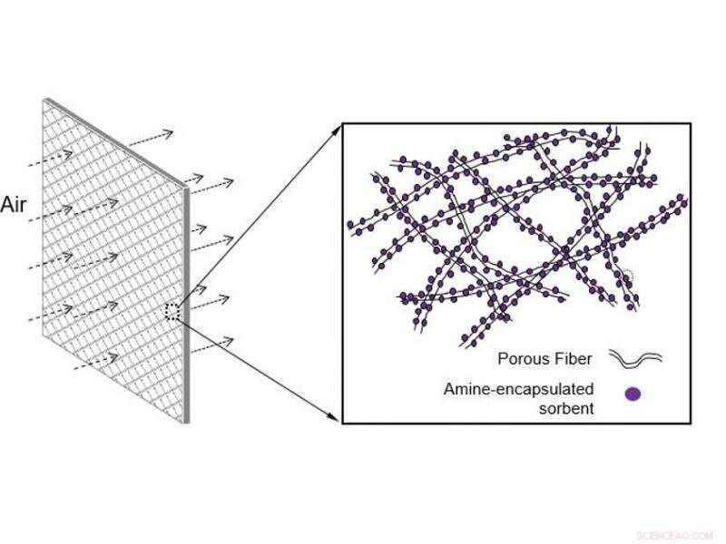 Revolutionary Carbon Trap Sequesters Greenhouse Gases and Converts Them into Valuable Resources